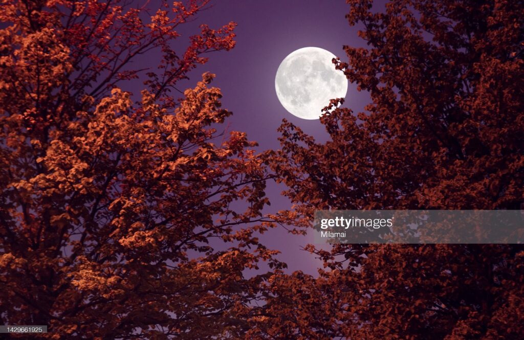 Луна, фотографируем ночью